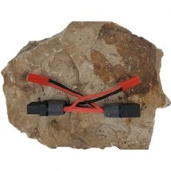 3Brothers RC - XT 60 Direct-power JST Adapters.